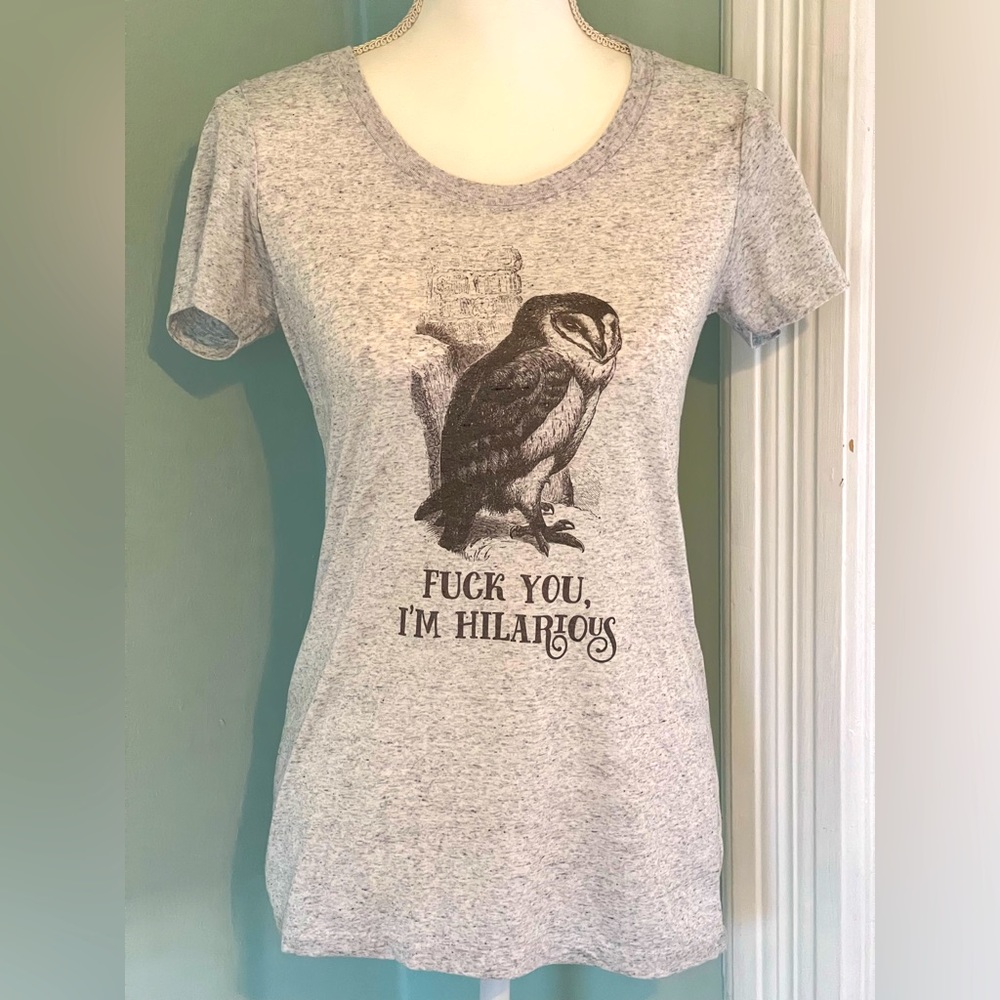 Foul Fowl Language Short Sleeve I’m Hilarious T-Shirt Size M Gray